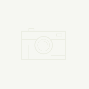 世界杯歷史射手榜